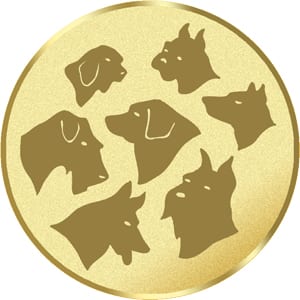 Animal Images