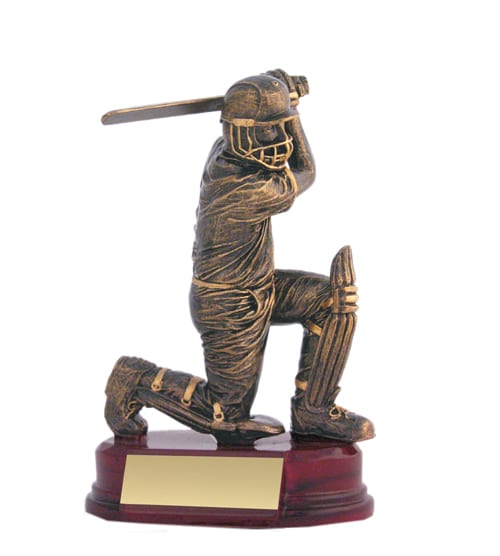 Cricket - Batsman