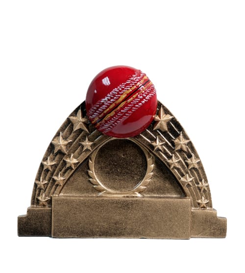 Cricket Ball & Stars