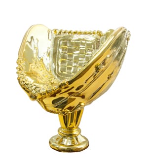 Gold Softball/Baseball Glove