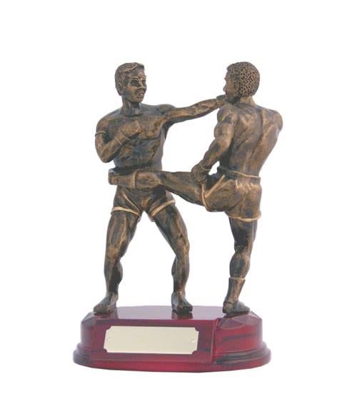 Kickboxing Males