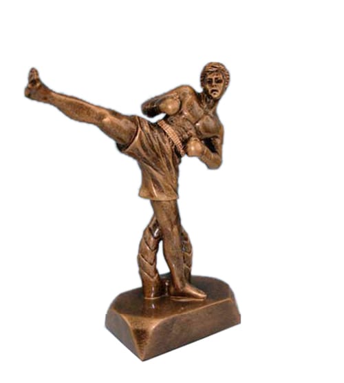 Kickboxer Male
