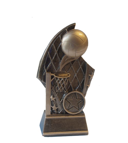 Dundee Netball Award