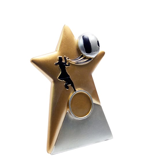 Gold Star - Netball Award