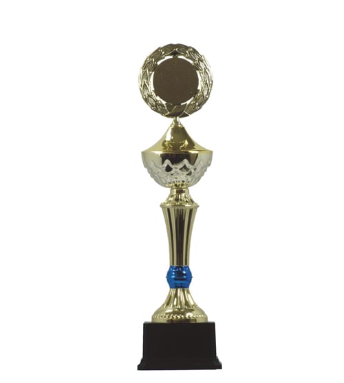 Gold Winners Award