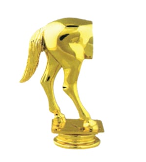 Horse Rear