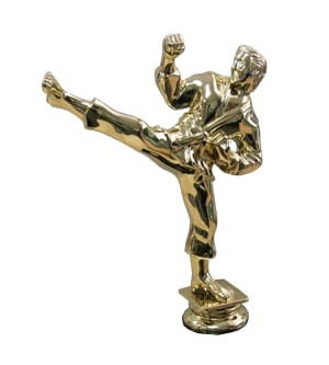 Karate - Gold Male