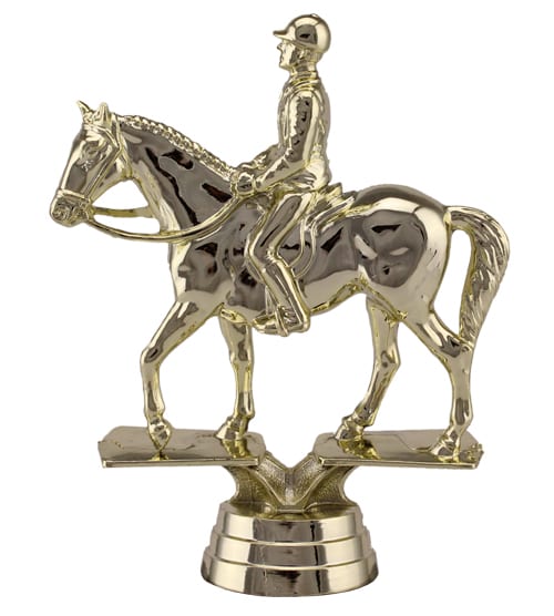 Horse & Rider