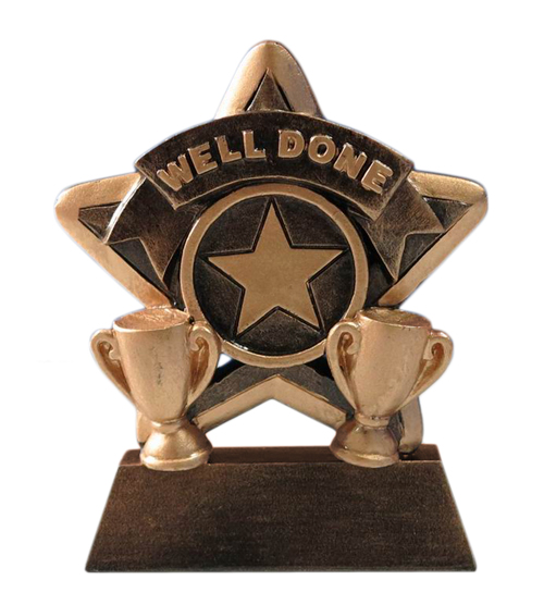 Well Done Star Award