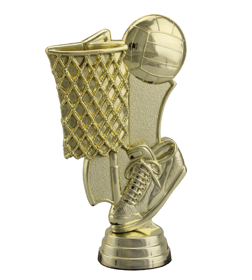 Netball Goal