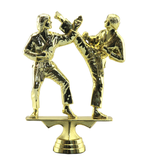 Karate Female Pair - Fighters